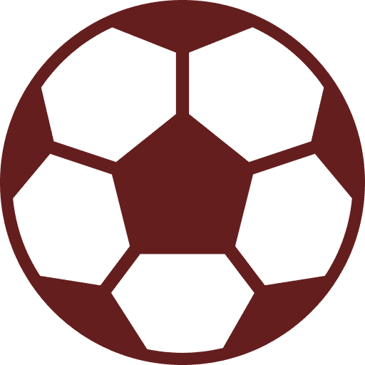 icono-pelota